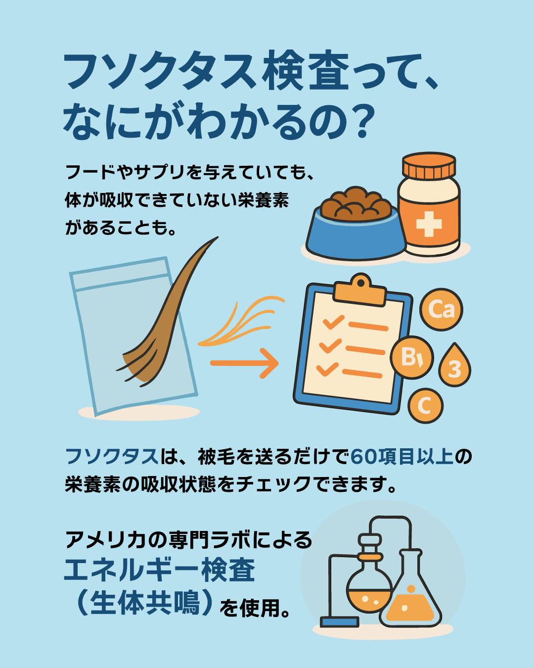 【犬猫用】フソクタス 栄養素吸収チェック検査キット|60項目を毛から調べる在宅型テスト