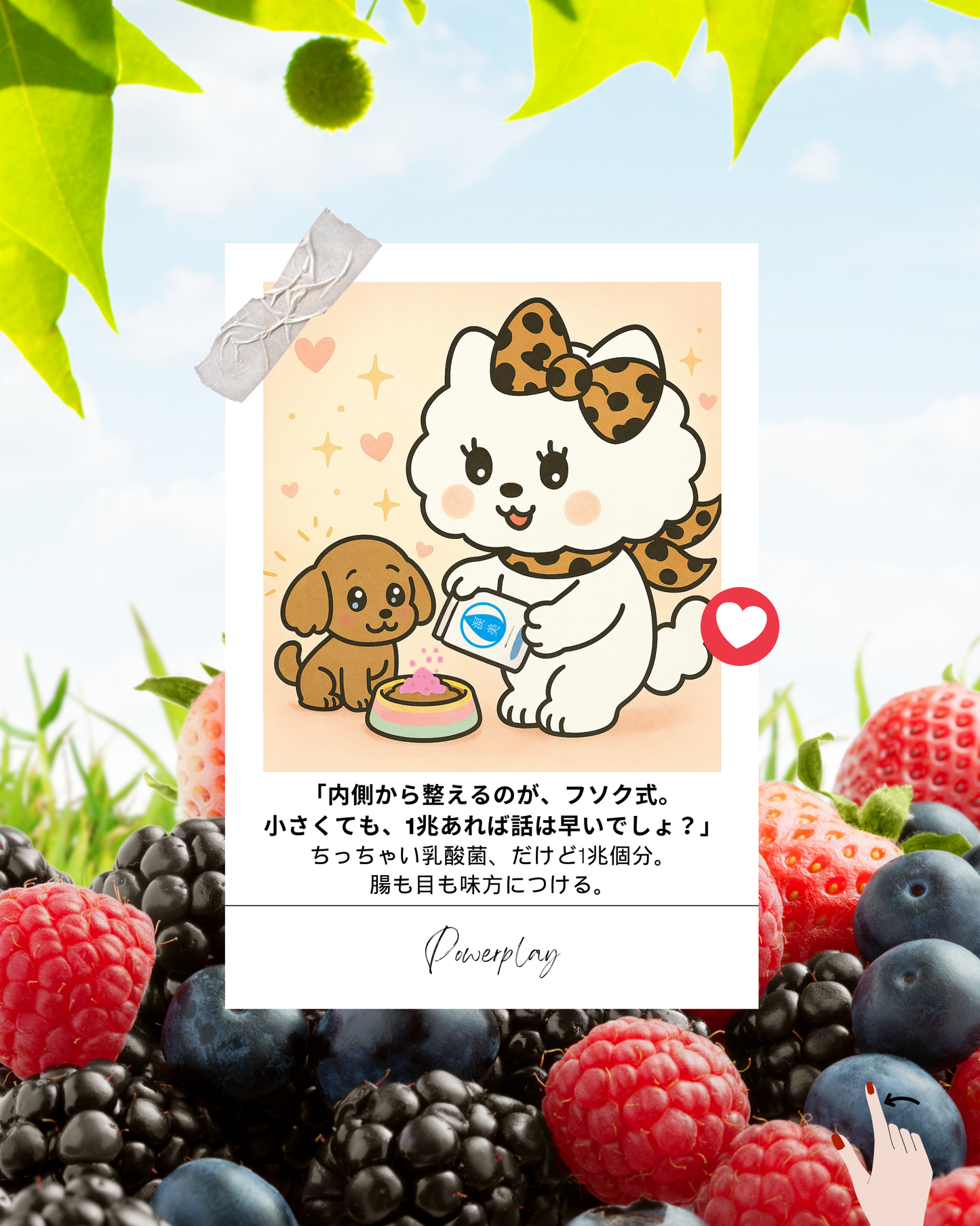 犬猫用サプリメント 涙美|瞳と腸をWサポート|涙やけ・目の悩みが気になる方に|フソクタスシリーズ