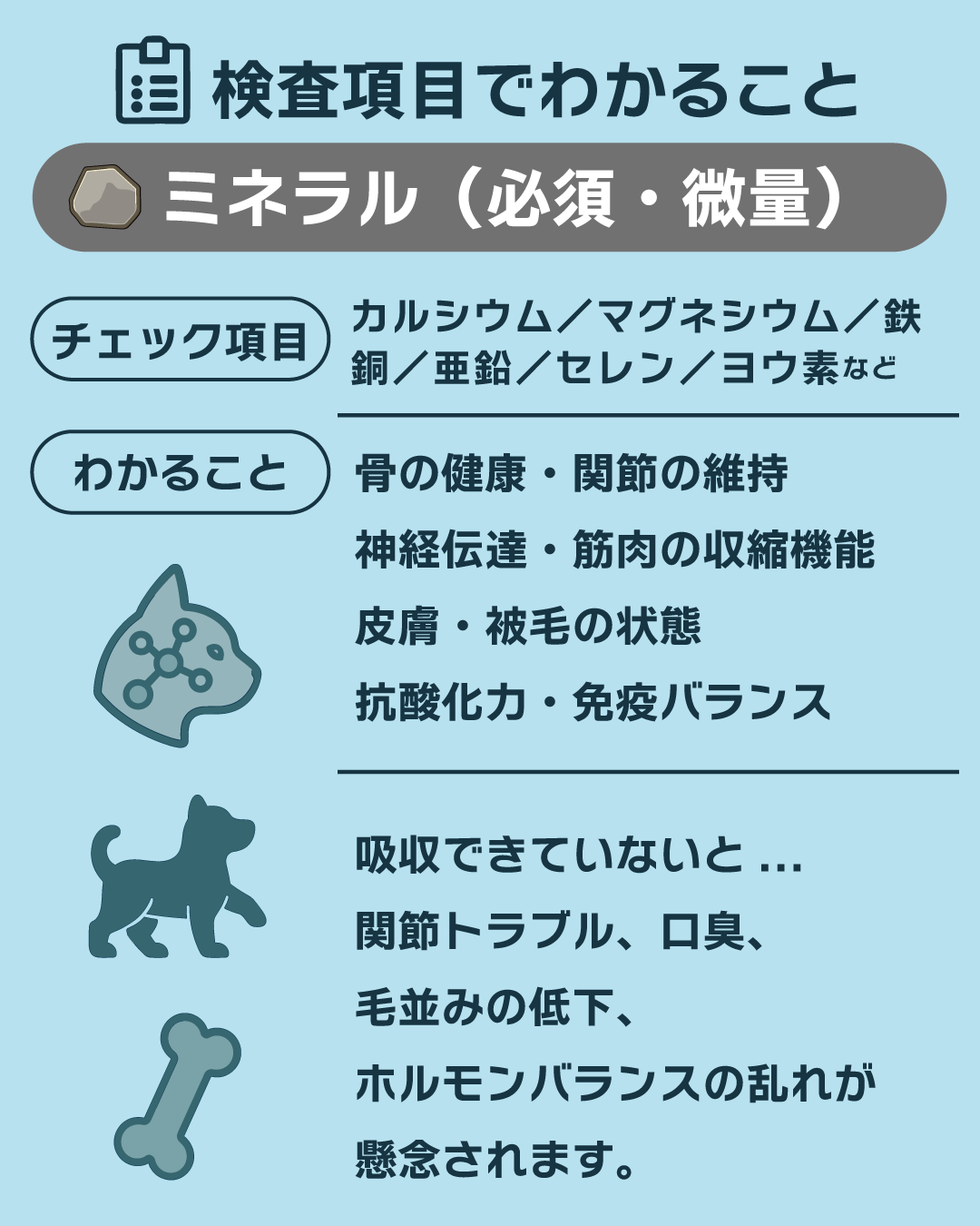 【犬猫用】フソクタス 栄養素吸収チェック検査キット|60項目を毛から調べる在宅型テスト