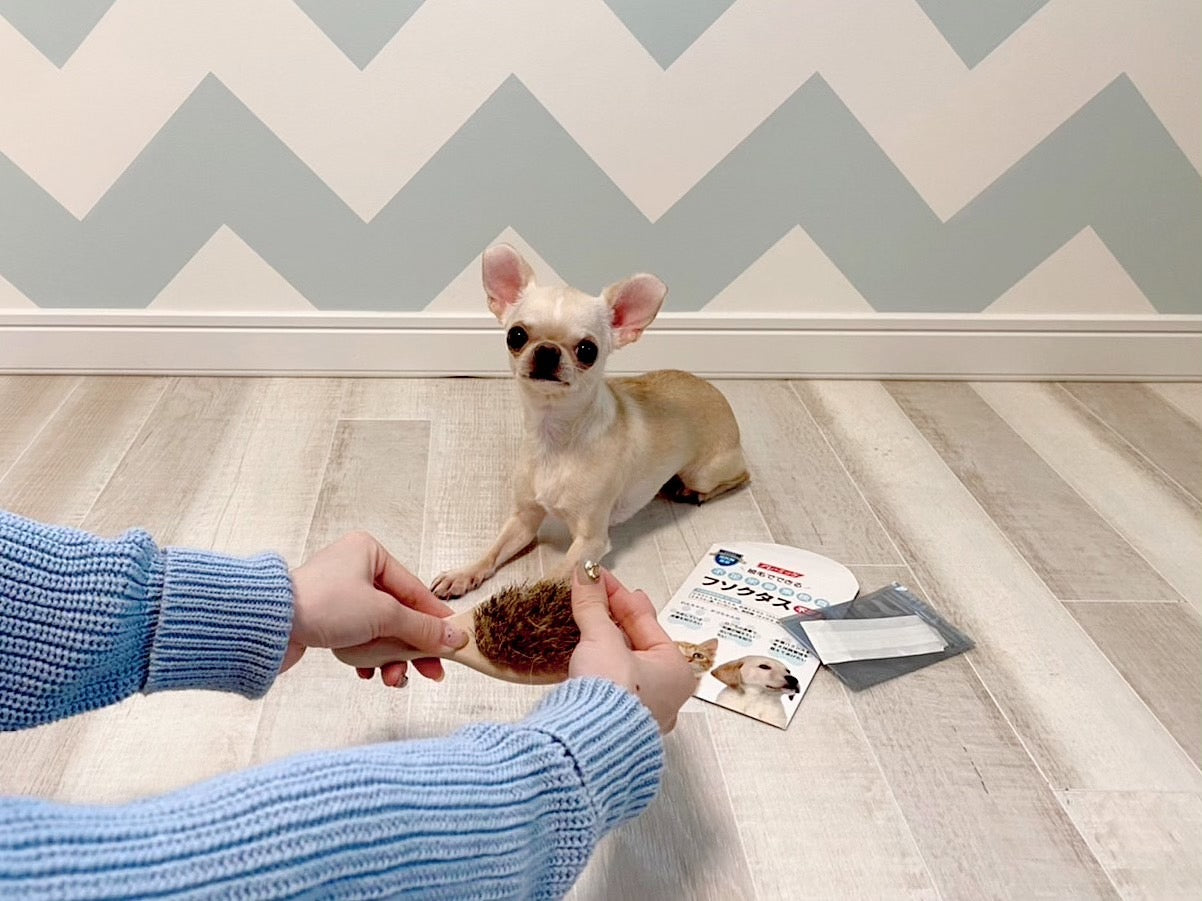 【犬猫用】フソクタス 栄養素吸収チェック検査キット|60項目を毛から調べる在宅型テスト