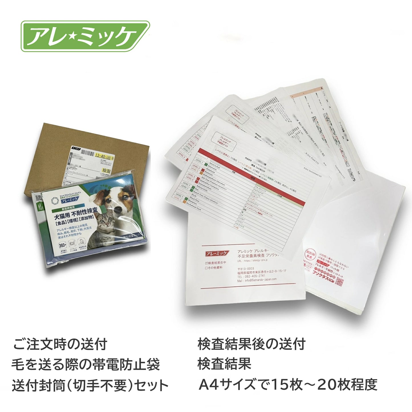 犬猫用被毛不耐性検査|アレミッケ