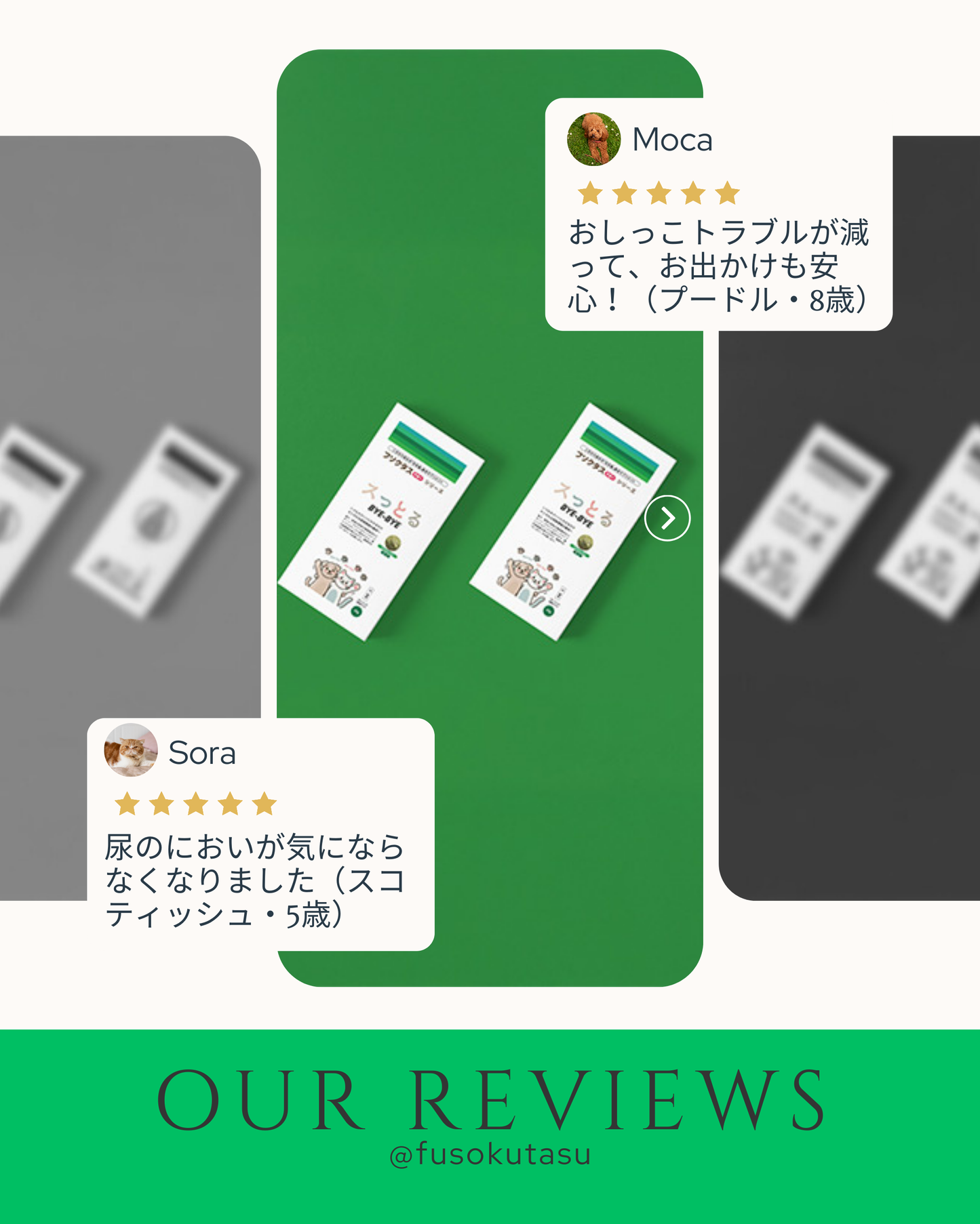 犬猫用サプリメント スっとるBYE-BYE|泌尿と腸をWサポート|ストルバイト対策が気になる方に|フソクタスシリーズ