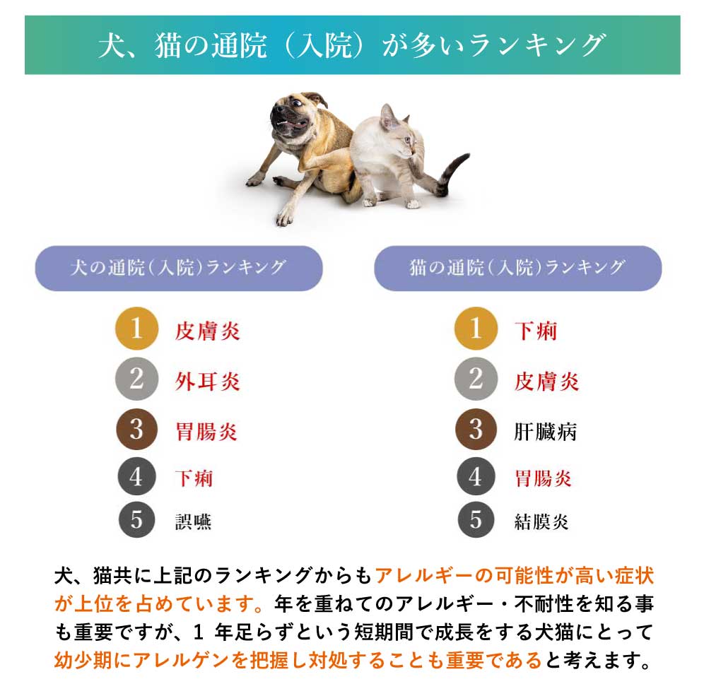 犬猫用被毛不耐性検査|アレミッケ