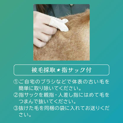 犬猫用被毛不耐性検査｜アレミッケ